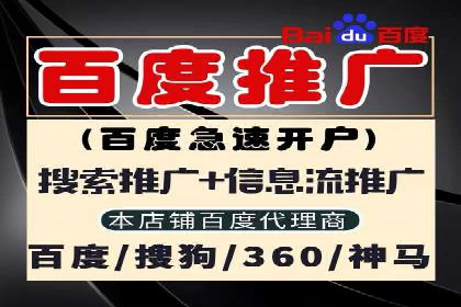 搜索引擎营销（SEM）的运营技巧与实际案例